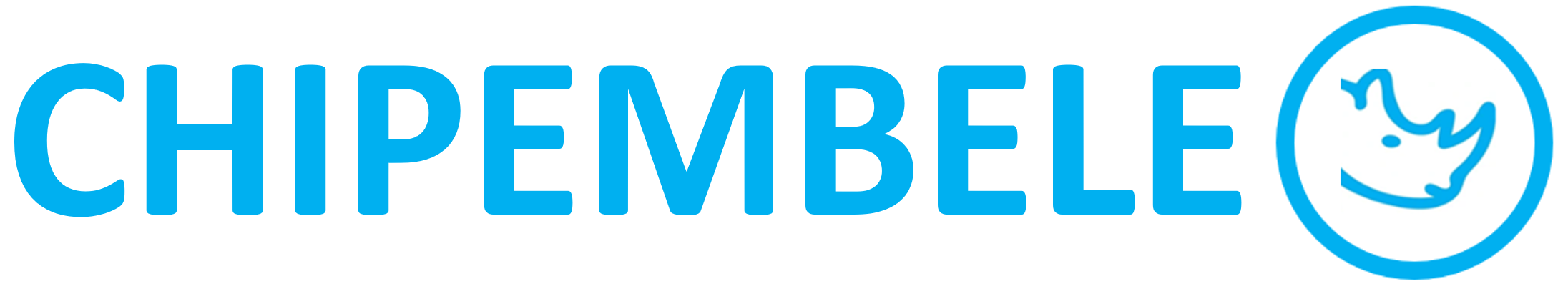 default-logo